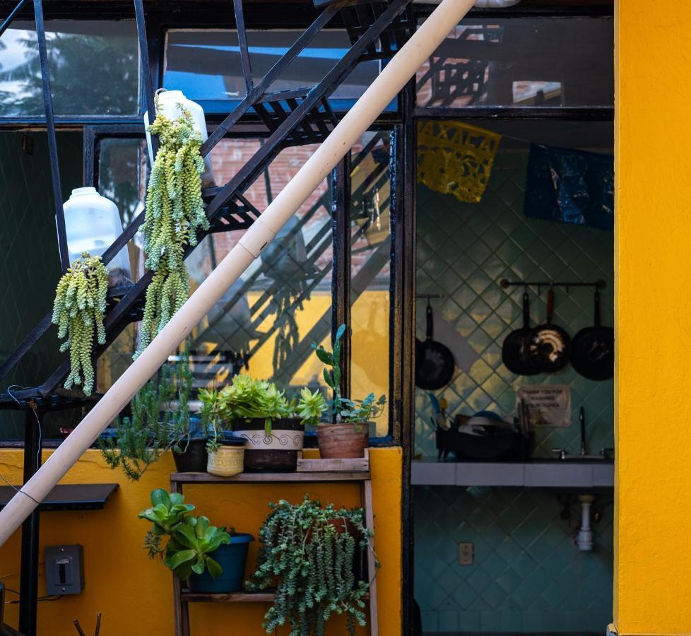 Hostal Pochon Oaxaca 外观 照片